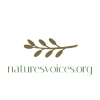 naturesvoices.org logo